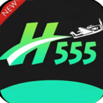 H555 Game
